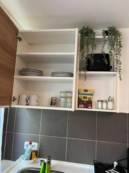 Apartment Am Stuttgarter Flughafen / Messe ไลน์เฟลเดิน-เอคเทอร์ดิงเงน ภายนอก รูปภาพ